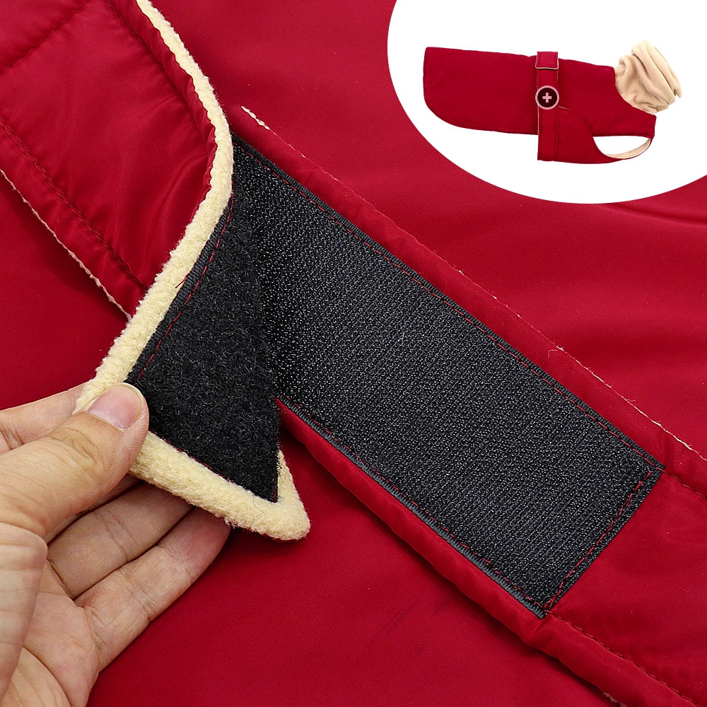 Arctic Paws: Cozy Waterproof Jacket for Large Dogs
