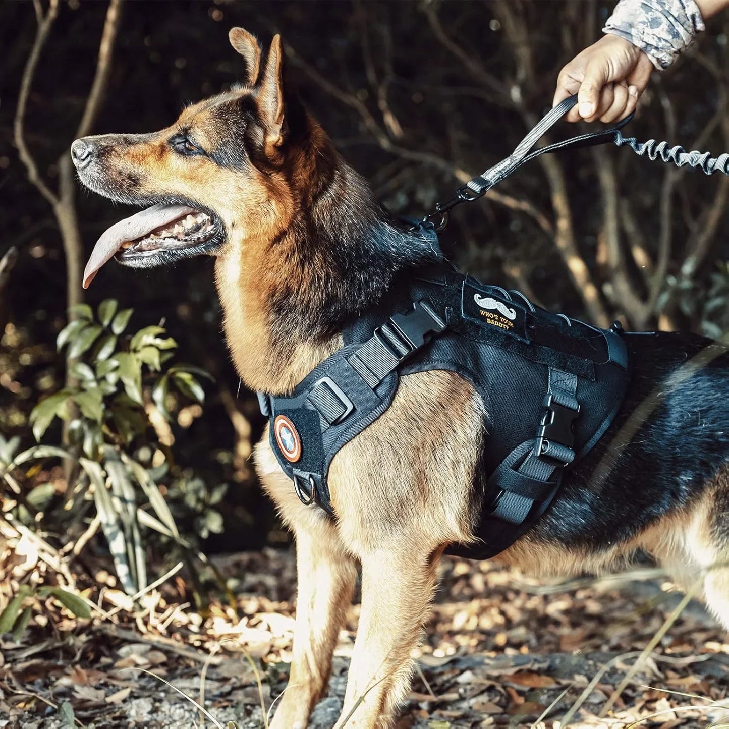 Chaleco para Perros TactiGrip Sin Tirones: Ajustable y Seguro