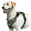 PawsEase No-Pull Soft Harness with Control Handle