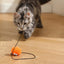 Têtes de remplacement 4pcs pour jouet à teaser pour chat - Amusement interactif