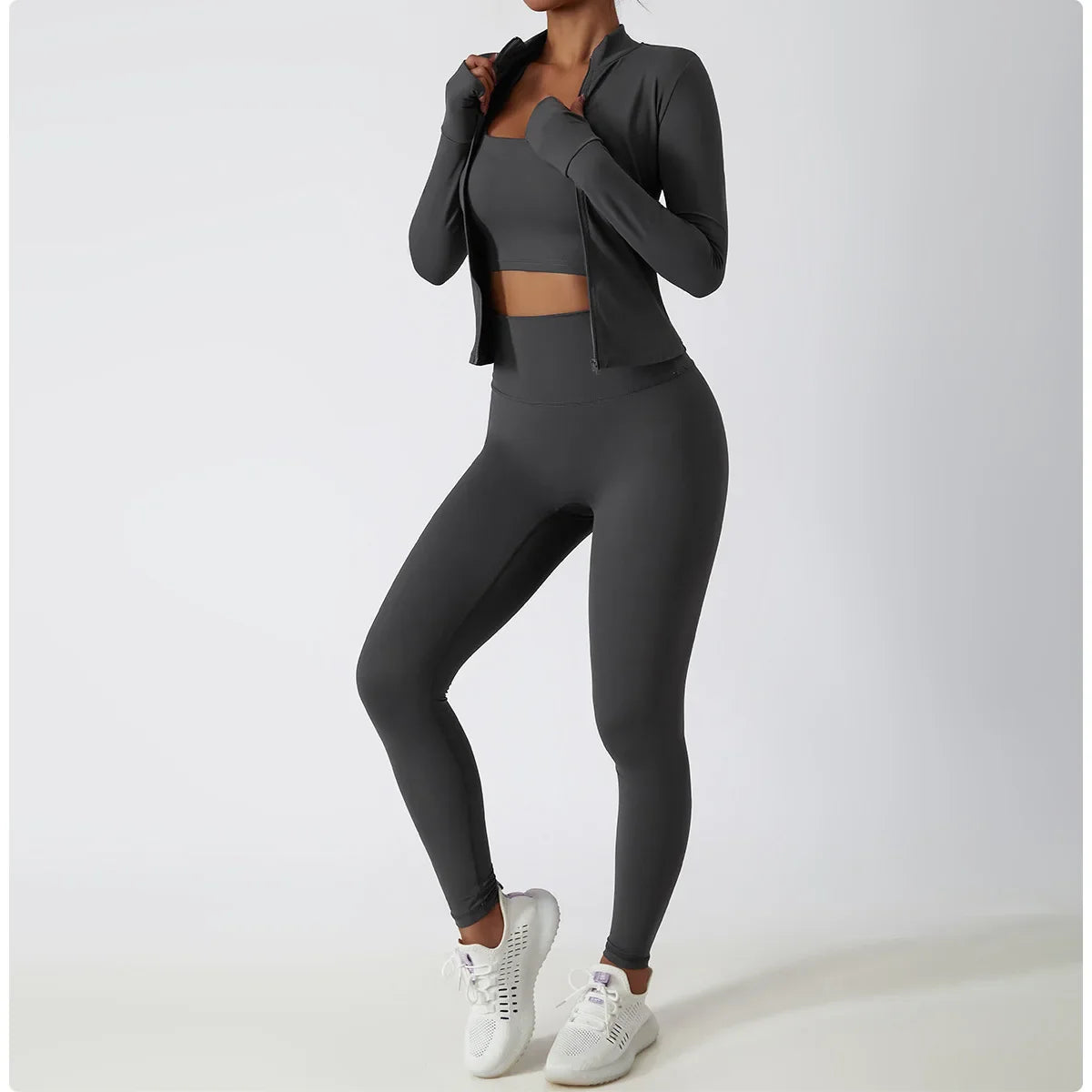Premium Long Sleeve Sports Jacket