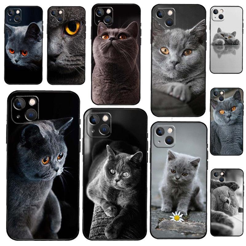 Funda Elegante de Gato British Shorthair Gris para Modelos de iPhone