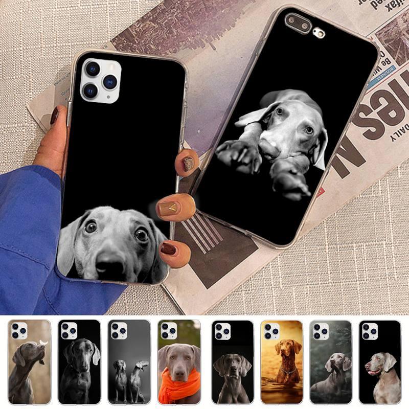Coque de téléphone mignonne pour iPhone 11, 12, 13 et plus