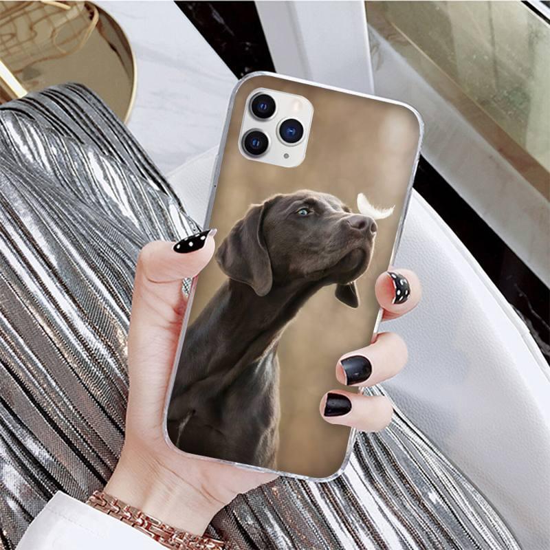 Coque de téléphone mignonne pour iPhone 11, 12, 13 et plus