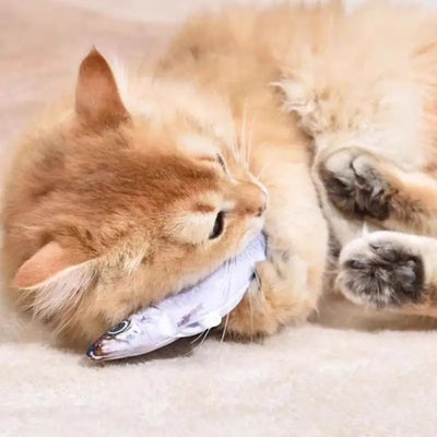 Floppy Fish PlayMate - Interactive Cat Toy