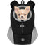 Pawsome Adventure Pack: Cozy Carrier for Outdoor Fun