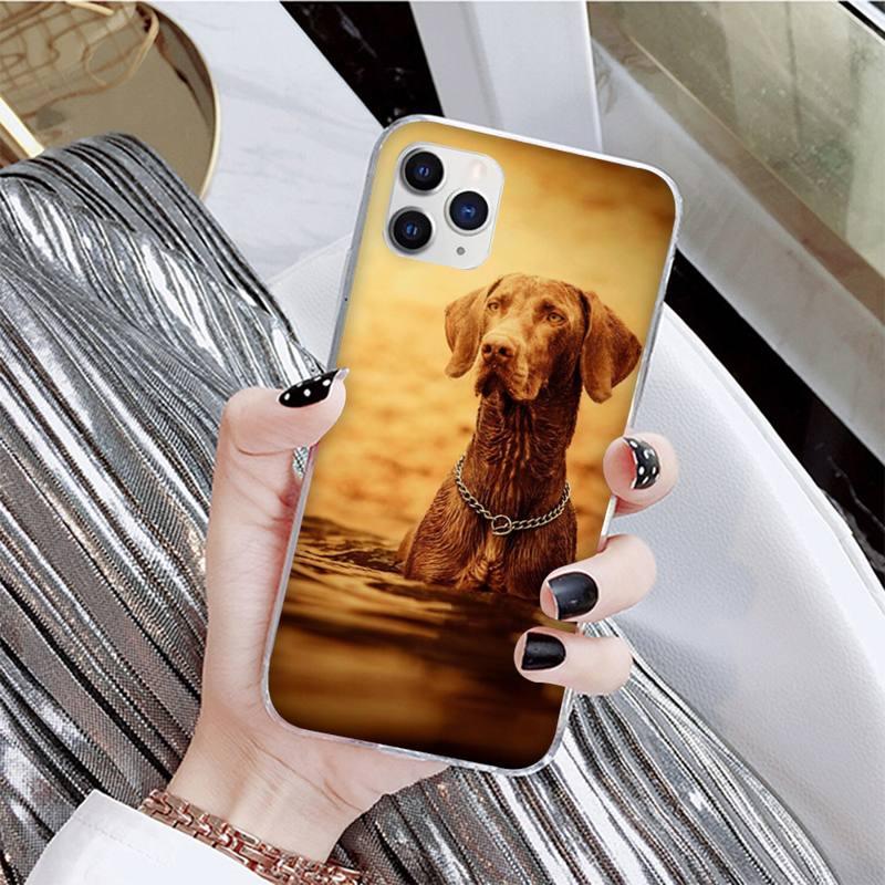 Coque de téléphone mignonne pour iPhone 11, 12, 13 et plus