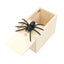 Scare Box Spider - Korvel