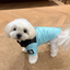 Veste en coton confortable pour animaux de compagnie SnugPaws