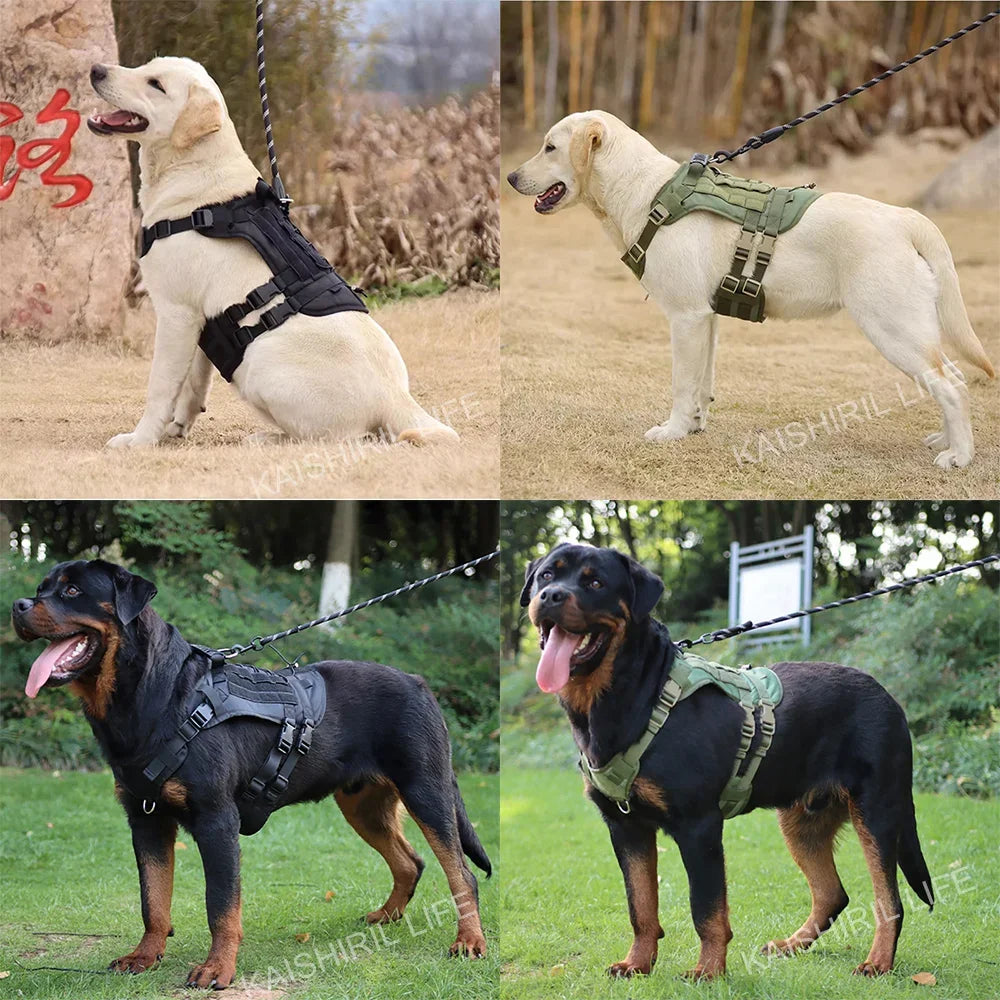 TactiPaws Dog Training Harness Set