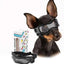 Lunettes UV pour animaux de compagnie : Protection oculaire élégante pour chiens et chats