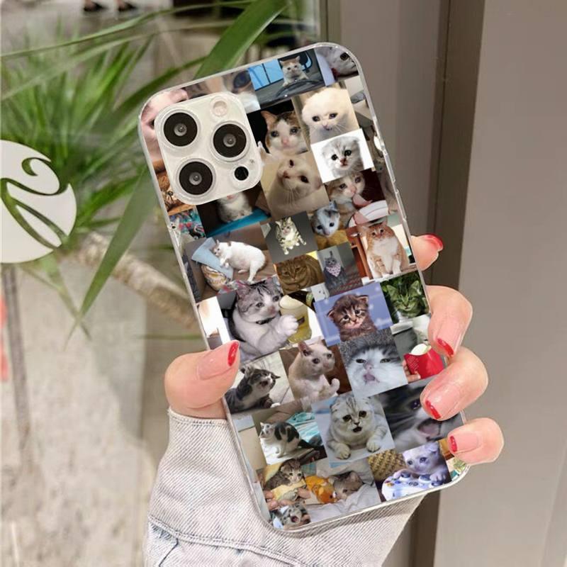 Coque de téléphone Memes de chat qui pleure pour iPhone 7 et 8