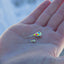 Premium Tungsten Ice Fishing Jigs for All Species
