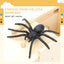 Scare Box Spider - Korvel