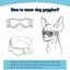 Lunettes UV pour animaux de compagnie : Protection oculaire élégante pour chiens et chats