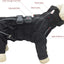 PawGuard Reflective Dog Jacket - Waterproof & Windproof