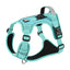 Conjunto de Arnés y Correa Reflectante No-Tire TrackSafe