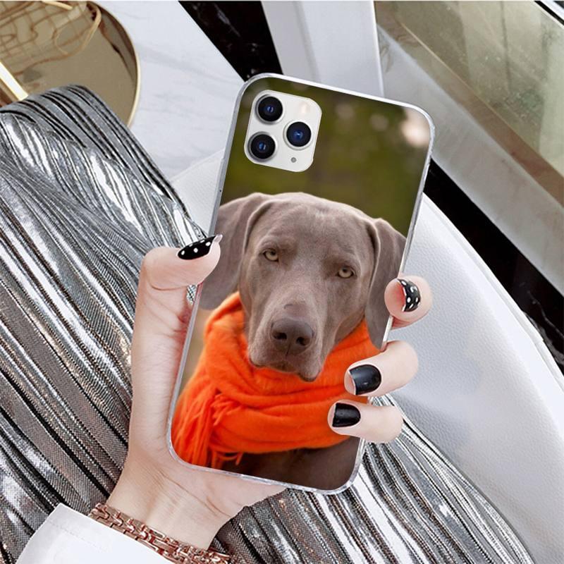 Coque de téléphone mignonne pour iPhone 11, 12, 13 et plus
