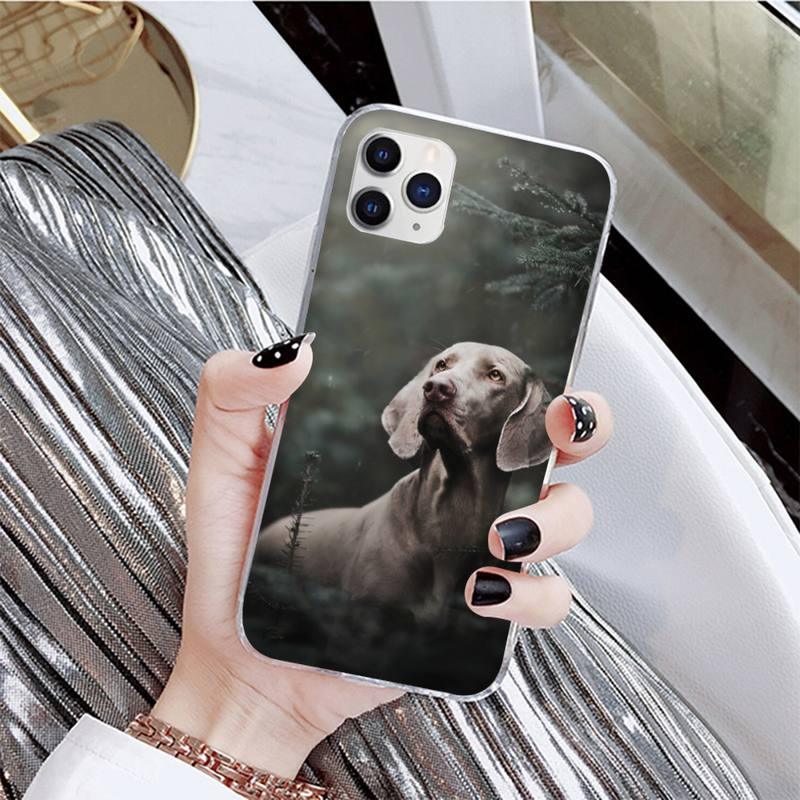 Coque de téléphone mignonne pour iPhone 11, 12, 13 et plus