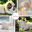 Interactive Plush Cat Ball with Chirping Sounds