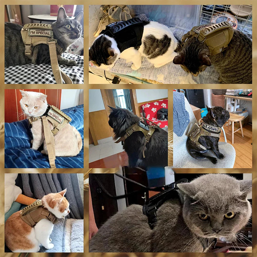 Arnés Táctico para Gatos con Parches Personalizables