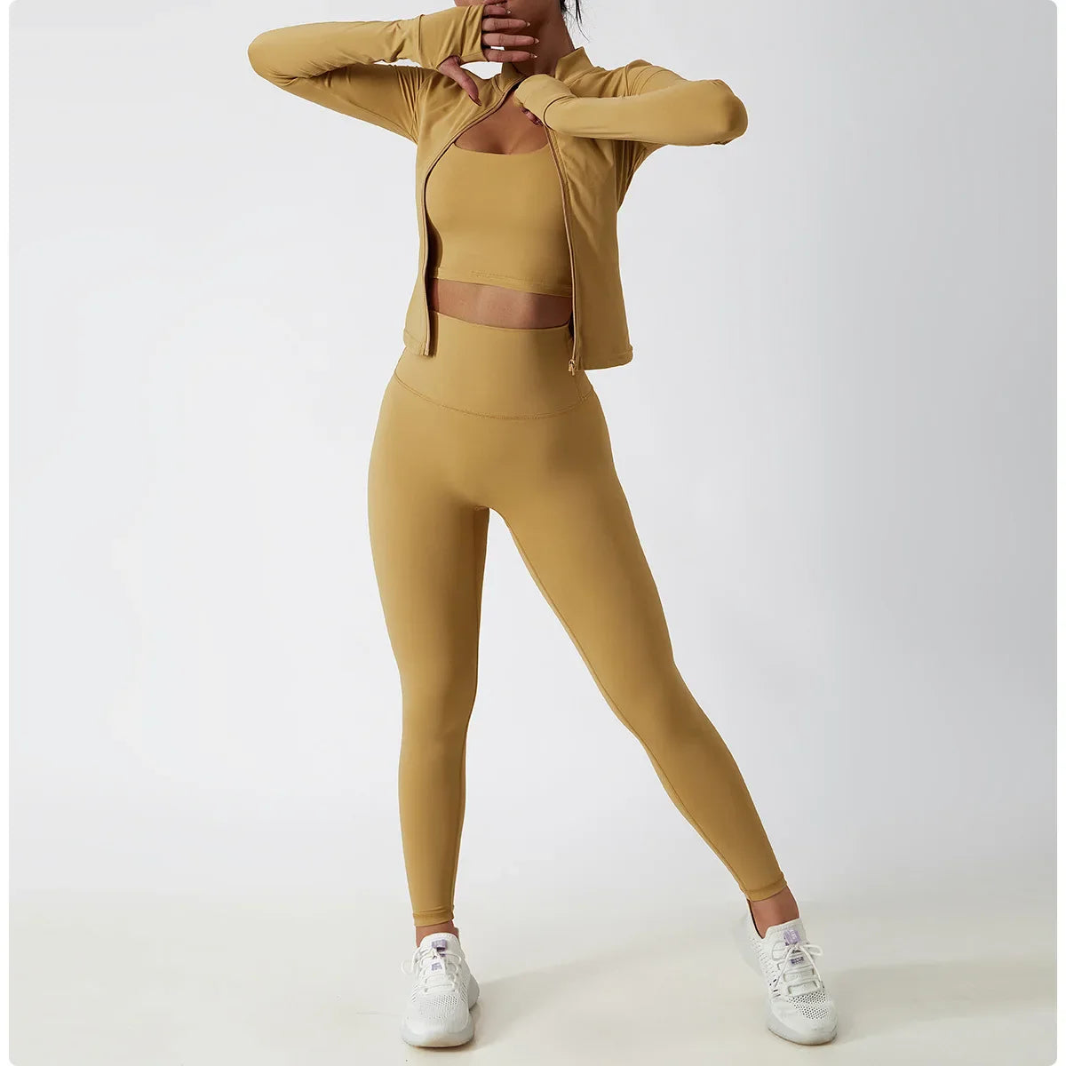 Premium Long Sleeve Sports Jacket