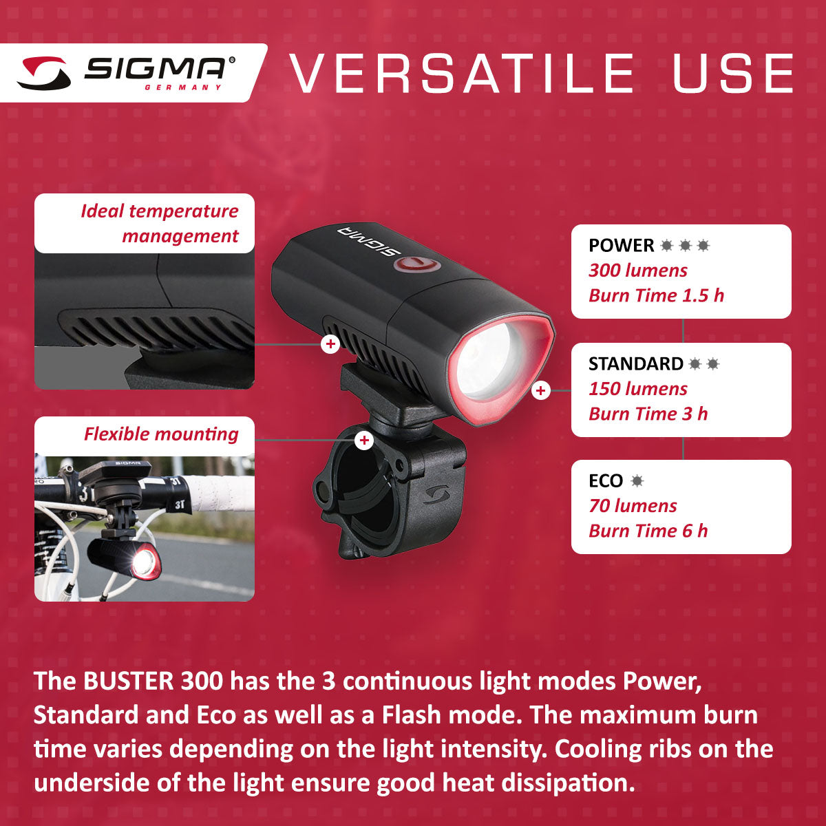 Luz Power SIGMA BUSTER 300 con Flash Nugget II