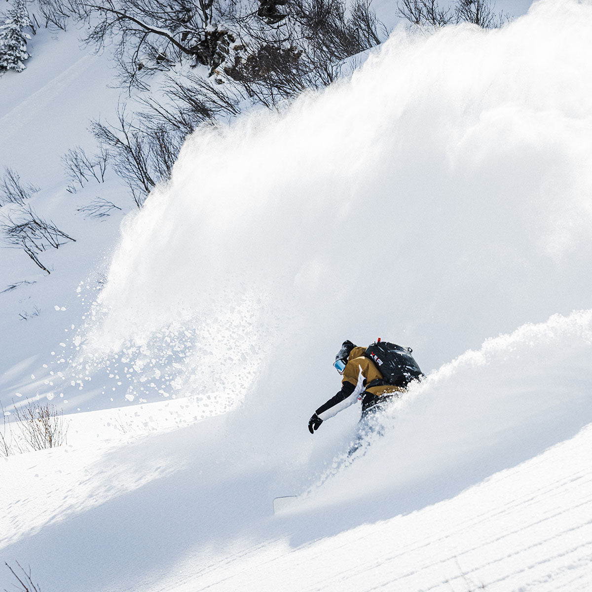 Slash par GiGi - Snowboard ATV - ApARTment