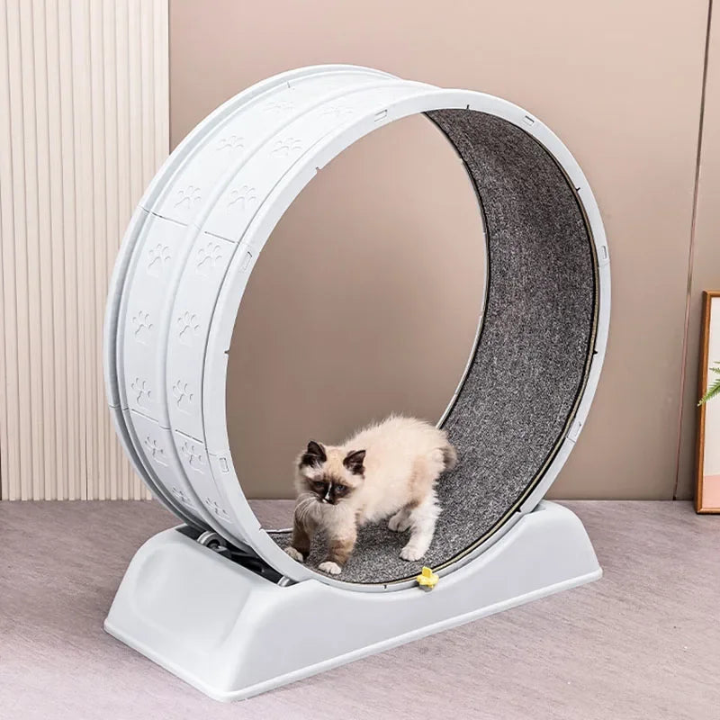 Roue d'exercice silencieuse Purrfect Fit pour chat