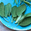Premium Sage Powder - Culinary Herb & Natural Remedy - Korvel
