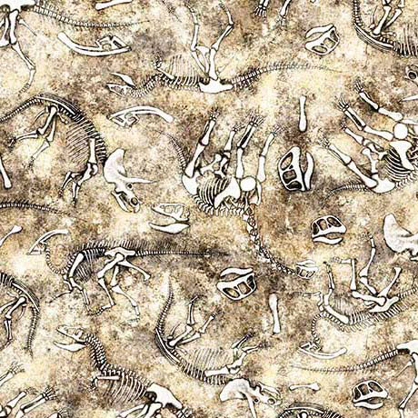 Sand Savage Kingdom Dino Bones Cotton Fabric - 44"/45" Per Yard