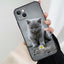Funda Elegante de Gato British Shorthair Gris para Modelos de iPhone