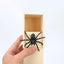 Scare Box Spider - Korvel