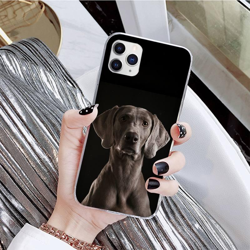 Coque de téléphone mignonne pour iPhone 11, 12, 13 et plus