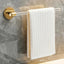 Elegant Gold Tissue Paper Holder