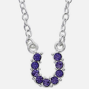Enchanting Amethyst Horseshoe Pendant Necklace - Korvel
