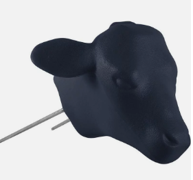 Durable Calf Head Dummy for Roping Practice - Korvel