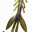 Bait Cave Custom Lures - Appâts de pêche premium