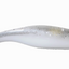 Bait Cave 3.8" Cave Swimmer