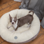 Cozy Plush Donut Dog Bed in Soft Beige