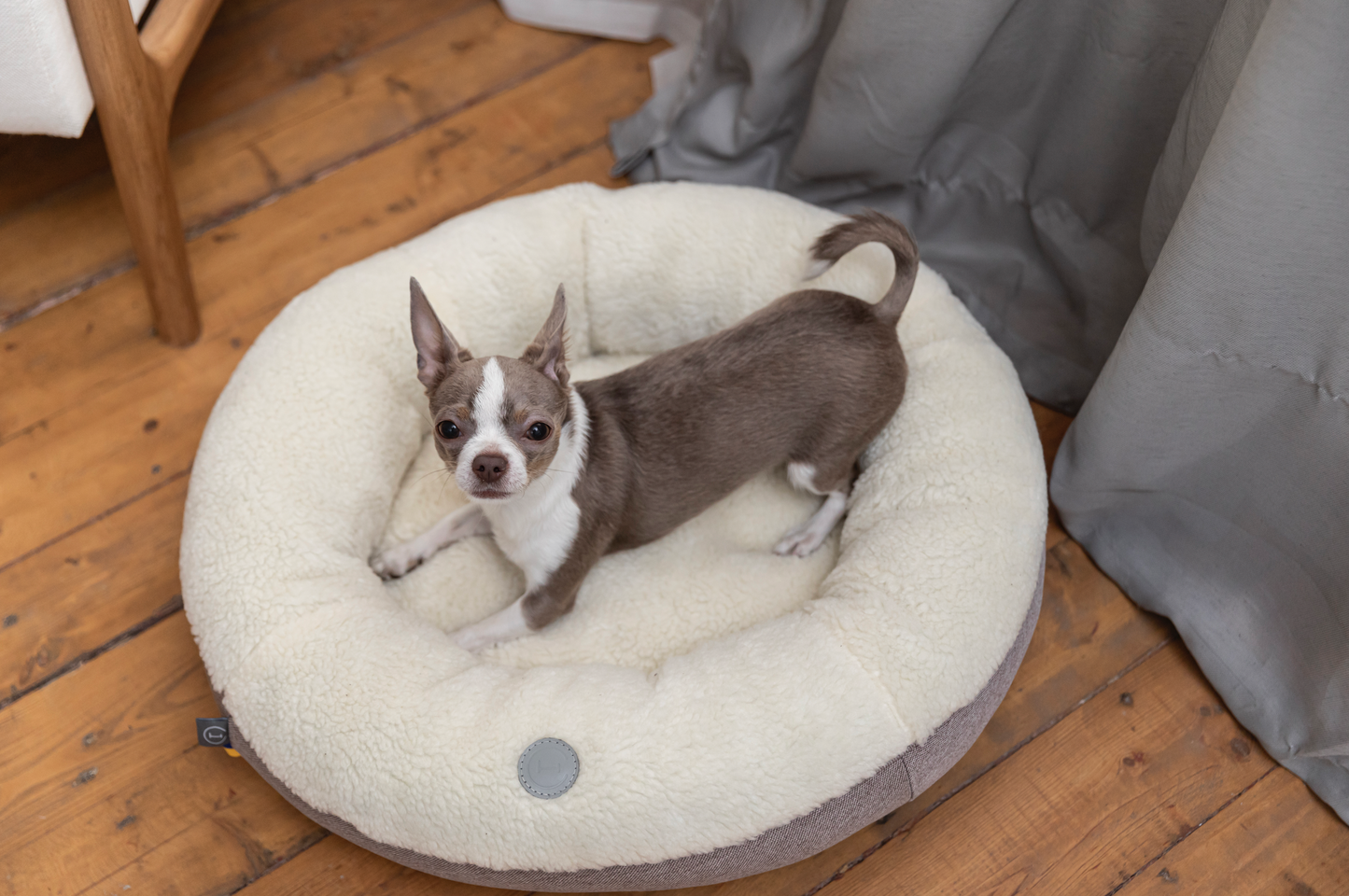 Cozy Plush Donut Dog Bed in Soft Beige