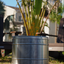 Foyer de jardin smokeless premium large