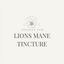Lions Mane Tincture: Mood, Memory, Stress Support, Brain Health - Korvel