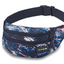 Dakine Classic Hip Pack