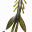 Bait Cave Custom Lures - Appâts de pêche premium