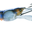 YO-ZURI 3DB Crayfish SS 3" Slow Sinking Lure