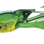 YO-ZURI 3DB Crayfish SS 3" Slow Sinking Lure