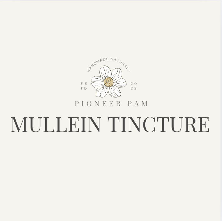 Mullein Tincture: Respiratory + Immune System Support - Korvel