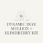 Dynamic Duo: Immune & Respiratory Support- Mullein Tincture + Elderberry Kit - Korvel