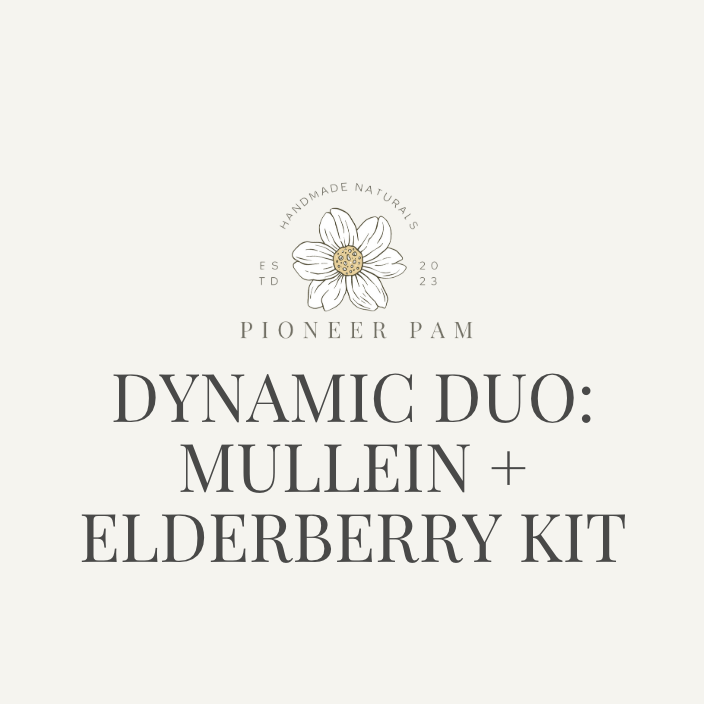 Dynamic Duo: Immune & Respiratory Support- Mullein Tincture + Elderberry Kit - Korvel